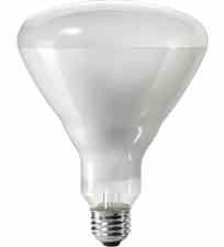 Philips Lighting 300BR / FL 300BR/FL 300 Watt BR40 Reflector Flood Lamp Turkiye