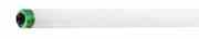 Philips Lighting F72T8HOTL841 236802 F72t8/tl841/ho Alto 25/1 Turkiye