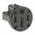 Leviton 279-PM Rec Panel Mt Turkiye