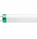 Philips Lighting F32T8 / TL841 / PLUS / ALTO TG F32T8/TL841/PLUS/ALTO TG 32 Watt T8 Tuffguard Coated Fluorescent Bulb Turkiye