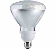 Philips Lighting EL / A PAR38 20W DIMM REFLECTOR EL/A PAR38 20W DIMM REFLECTOR 20 Watt PAR38 2700K CFL Turkiye