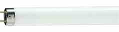 Philips Lighting TL-D 18W / 33-640 1SL TL Turkiye