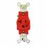Leviton 8310-R Hospital Grade Single Receptacle Turkiye