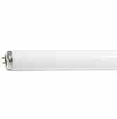 Philips Lighting F25T12 / CW / 28 F25T12/CW/28 Fluorescent Lamp Turkiye