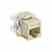 Leviton 6110G-RI6 Jack Cat6a 10g Ivory Turkiye