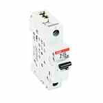 Abb S201-D40 ABB  Mcb 1p D 40a 480y/277 Supp Turkiye