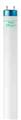 Philips Lighting F32T8 / ADV841 / EW / ALTO TG 28W F32T8/ADV841/EW/ALTO TG 28W 283192 F32t8/adv841/ew/alto Tg 28w
