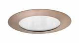 Juno Lighting 210NABZ