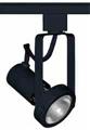 Juno Lighting T362BL