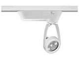 Juno Lighting T196WH Open Back Spotlight 12v Mr16