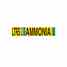 Brady 90415 Ammonia (iiar) Pipe Markers