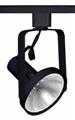 Juno Lighting T689BL Open Back Par30